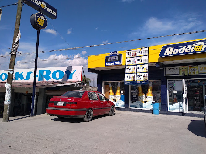 Negocio Modelorama Np Galeana