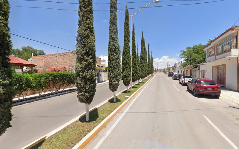 Negocio Modelorama San Jose De Gracia