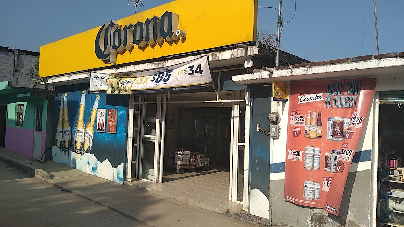 Negocio Modelorama Tepehuacan De Guerrero