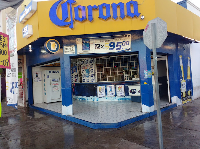 Modelorama Terranova