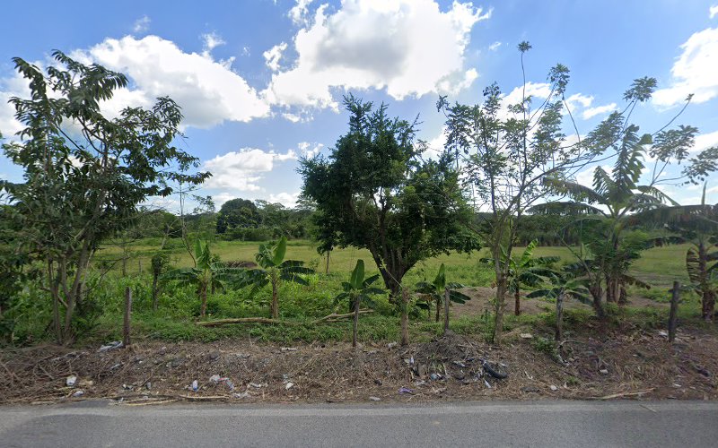 Negocio Np Modelorama Jacarandas