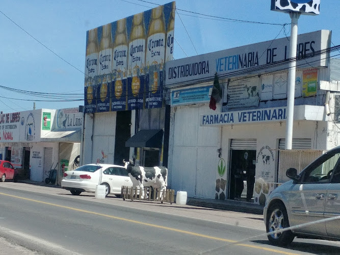 Negocio Venta De Cerveza Modelorama